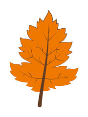 Poster - autumn orange color leaf illustration design art