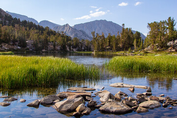 Wall Mural - Lakes, streams, forests, wildflowers, fields, and other wilderness seen throughout the eastern sierra mountains in California. Pictures taken hiking in Mammoth, Bishop, and lone pine, California.