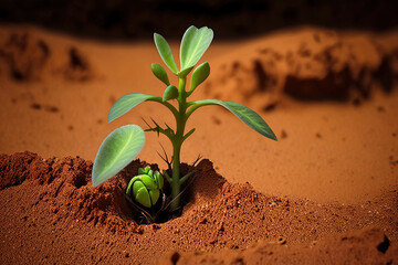 First green sprout on mars, concept of Extraterrestrial botany and Interplanetary colonization, created with Generative AI technology