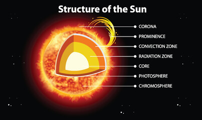 Wall Mural - the structure of the sun