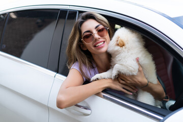 A happy woman and a dog in a car on a summer trip. Cute pomeranian spitz. Vacation with a pet.