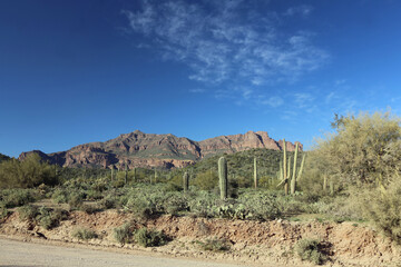 Wall Mural - Arizona