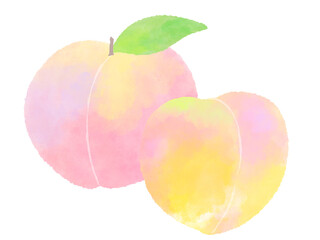 Wall Mural - Ripe peach fruit and cut fruit watercolor illustration with cute hand -drawn / 熟した桃の果実とカットフルーツ かわいい手描きの水彩イラスト