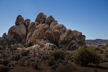 Poster -  2023-01-27 A LARGE ROCK FORMATION WITH CACTUS AND UNDERBRUSH WITH A CLEAN BLUE SKY IN Joshua TREE NATIONAL PARK IN SOUTHERN CALIFORNIA