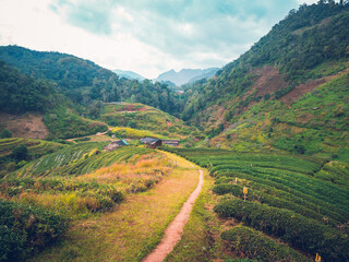 Sticker - Landscape of Angkhang mountain