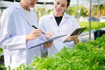 Biologist puts sprout in test tube for laboratory analyze. Two scientists stand in organic farm. check, laboratory