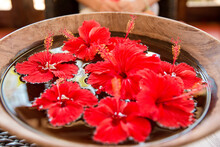 High Angle View Of Red Hibiscus In Wooden Container