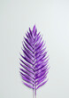© Cavan Images - Purple painted decorative leaves