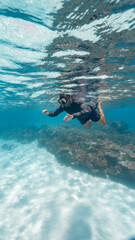 Wall Mural - young man snorkeling in the great barrier reef