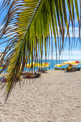 Poster - Plage sous les cocotiers, île de la Réunion 