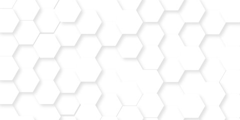 Background with hexagons . Abstract background with lines . white texture background . white and hexagon abstract background. white paper texture and futuristic business .