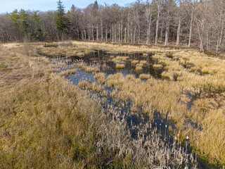 Wall Mural - aerial view of a lake nearby forest in early spring