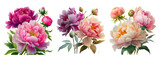 beautiful peony flowers isolated on a transparent background. Generative AI