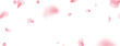 Sakura petal spring blossom on white banner. Flower flying background. Beauty Spa product frame. Pink rose composition. Valentine romantic card. Light delicate pastel design. Vector illustration