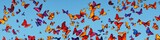 Fototapeta Motyle - Colorful butterflies flittering in the air