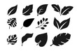 © yendisupiandi - collection of leaf designs in silhouette style on white isolated background.