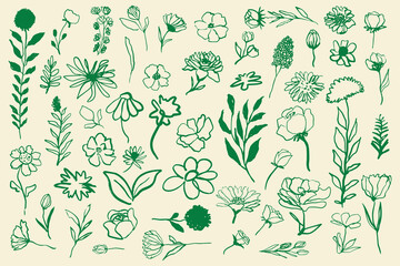 hand drawn ink various flowers set, vector simple minimalistic line illustration.