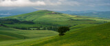Fototapeta Pokój dzieciecy - view of the green hills of Tuscany, Val D'orcia valley.