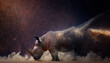 Extinction concept of rhino fading away in the stars