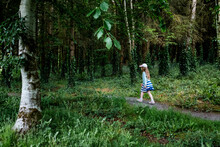 6 Year Old Girl In A Dress Walking On A Forest Trail In Ireland
