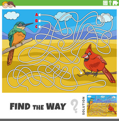 Canvas Print - find the way maze game with cartoon birds characters