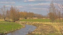 Creek Along Meadow With Bare Winter Trees And Golden Reed And Houses And Church In The Background In Kalkense Meersen Nature Reserve, Wichelen, Flanders, Belgium 