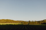Fototapeta Tęcza - Panorama sur les vignes