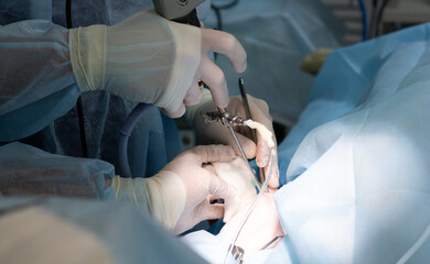 The surgeon with an assistant performs arthroscopy of the pet's knee joint under anesthesia. Close-up on doctor's hands and pet's knee. The concept of arthroscopy of the knee joint in a pet.
