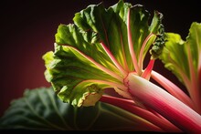 A Close Up Of A Green And Red Rhubarb Plant, Generative AI