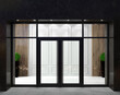 Glass partition mockup and modern doors in hall