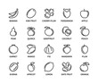 Fruits vector linear icons. Isolated collection of fruit icon for web sites on white background. Vector symbol set of healthy food.
