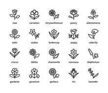 Flowers Vector Line Icons. Isolated Icon Collection On White Background. Flowers Symbol Vector Set.
