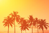 Fototapeta Zachód słońca - Palm trees on a golden sunset sky