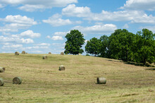 Hay Bales On A Hillside With Tress And Meadow