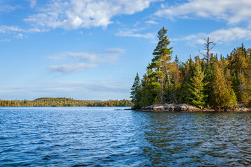 Wall Mural - beautiful blue lake and shoreline with pines in the boundary waters canoe area wilderness of norther