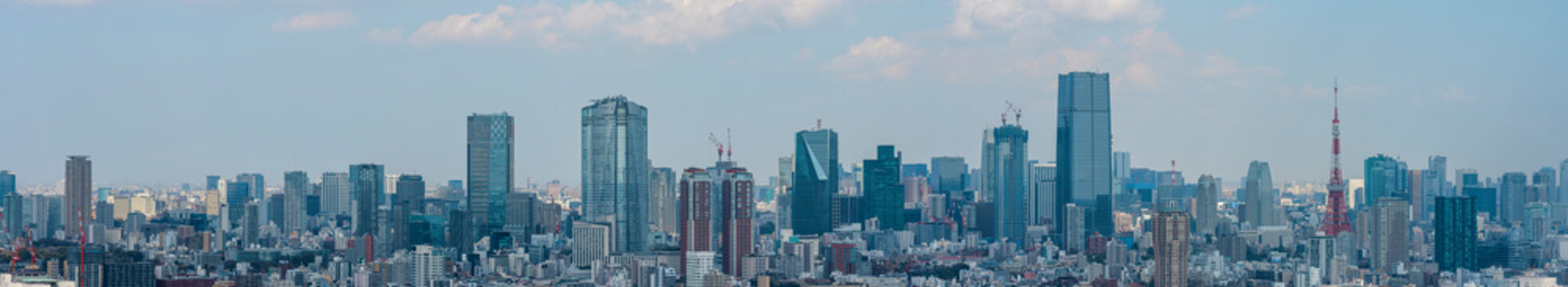 東京のパノラマ風景
