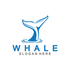  whale tail logo vector illustration design. Whale tail graphic icon