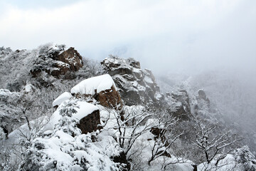 Sticker - snow covered mountain