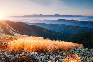 Affiche - Breathtaking view of mountain ranges and peaks in the morning light. Carpathian mountains, Ukraine.