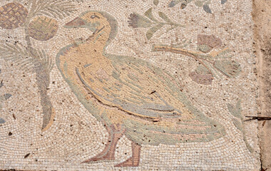 Wall Mural - Ancient Yellow Duck Floor Mosaic in Roman Villa at Carthage Archeological Site