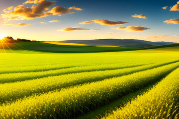 Wall Mural - Beautiful spring natural panorama of a field of young green wheat on the hills against a blue sky with clouds.