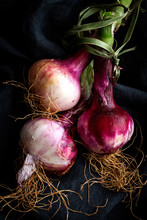 Close-up Of Fresh Onions On Black Textile