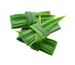 Fresh pandan leaf knot isolated on transparent png