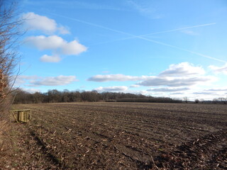 Wall Mural - plowed field in spring