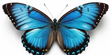 A Blue Butterfly With Folded Wings, Showcased On A White Background, Appears Lovely And Radiant, Generative AI