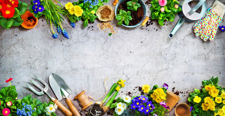 Wall Mural - Gardening tools and spring flowers on the terrace