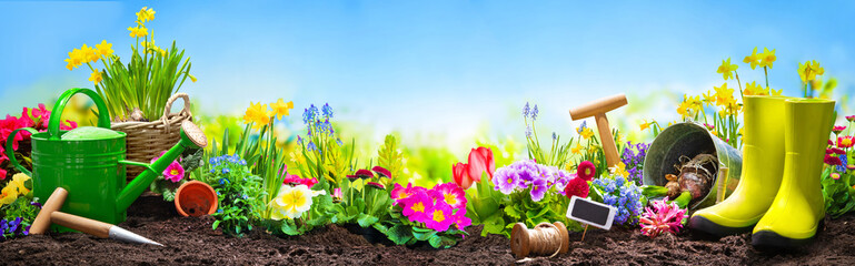 Canvas Print - Spring flowers with the gardening tools in the garden