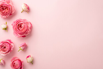 Wall Mural - Saint Valentine's Day concept. Top view photo of pink peony roses on isolated pastel pink background with copyspace