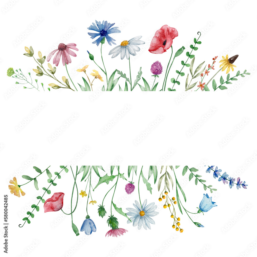 Frame of watercolor wildflowers Stock Illustration | Adobe Stock