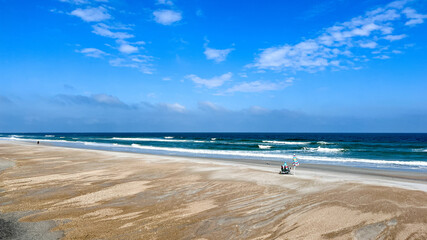 The beach at Little Talbot Island State Park near Amelia Island, FL